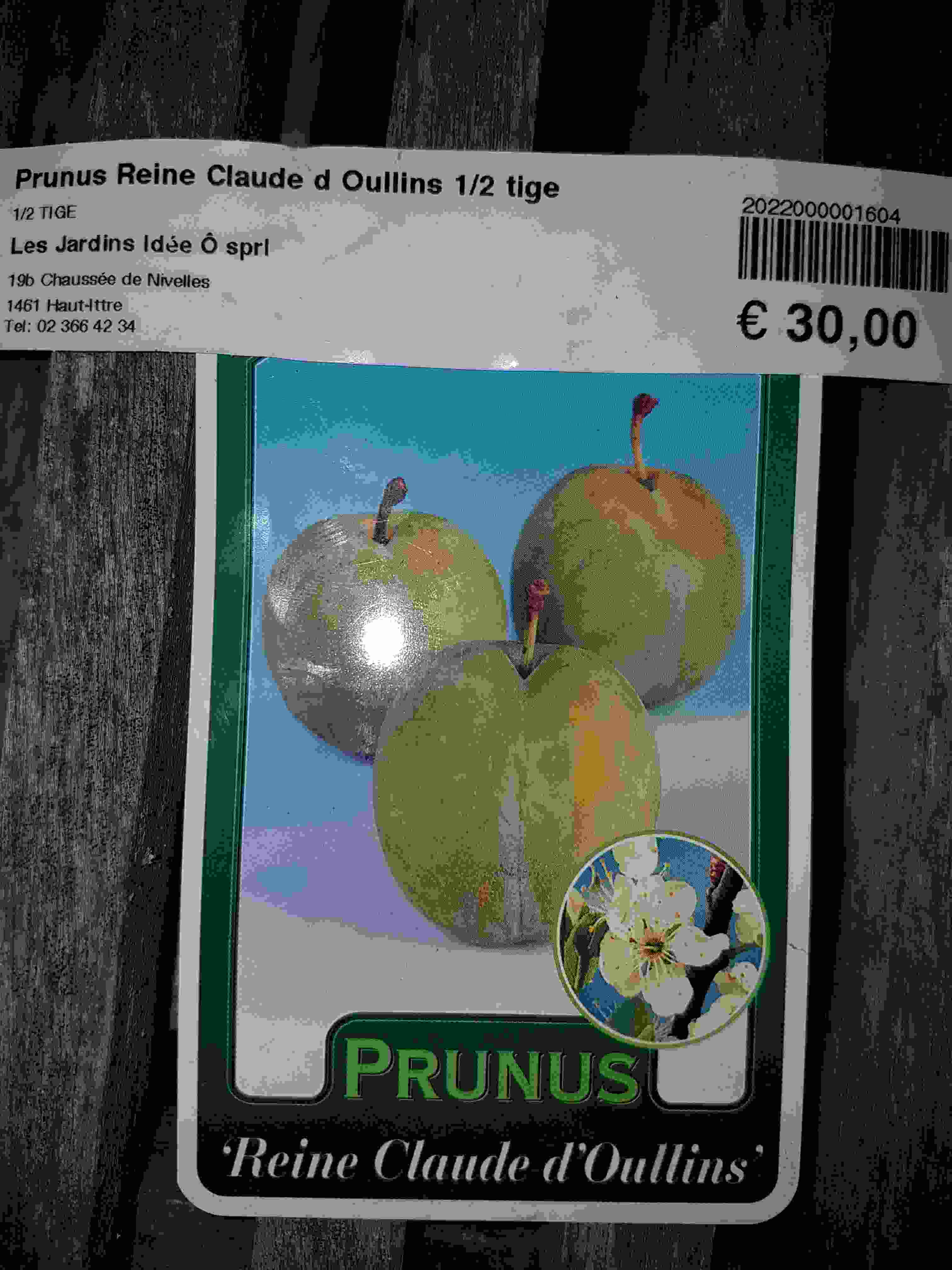 reine claude d'oullins20221128_170538.jpg